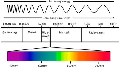 Imaging systems and techniques for fusion-based metal additive manufacturing: a review